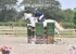 BPP_4009