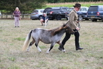 WJ6_6982