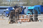 BPP_3030