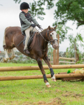 Dunblane show-34