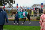 200826-Race 2-Sun Goddess-0412