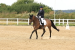 SBM_000254