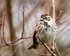 20110305-IMG_8095