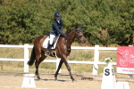 SBM_013704