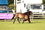 SBM_00574