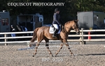 BPP_9209