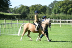 SBM_39542