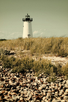 harbor lighthouse and shells [vintage]