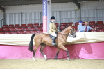 SBM_08041