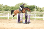 SBM_003412