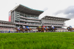 Race 4 Sky Bet Ebor Handicap portfolio