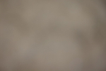 20260913-0824