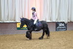 SBM_000595