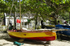 Bequia Easter Regatta_GRW_7285