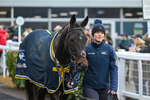 151125-Race 1-Secret Force-1741