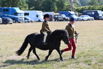 WJ6_7435