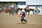 3HRodeo8-11-25_PRCASteer_06105_