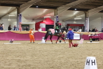 SBM_09794