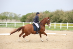 SBM_007231