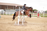 SBM_008652