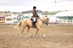 SBM_01411