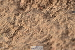 231015A-161812-09293