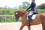 Class 4 - Novice 1 portfolio