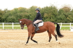 SBM_002896