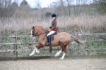 SBM_007242