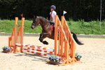3E7A2006