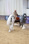 SBM_000660