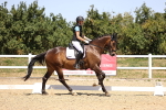 SBM_012006