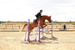 SBM_006533