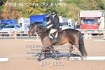 BPP_8030