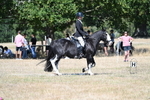 WJ7_0923