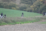 WJ7_9127