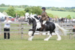 SBM_17164