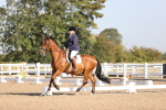 SBM_01600