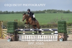BPP_4565