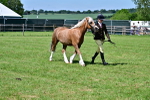 SBM_08058