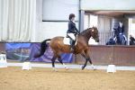 SBM_000329