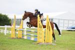 Area 16 Pony Club Showjumping Qualifiers 29 June 20205 portfolio