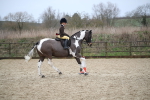SBM_007914
