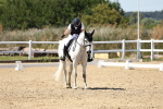 SBM_002627