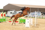 SBM_009911