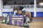 Class 12 - Blue Chip Dynamic B&C Championship Qualifier 1.25m 1.30m portfolio