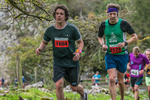 Dovedale Dash-1137