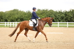 SBM_000994