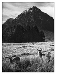 Approaching Glen Coe