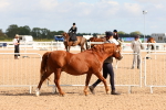 SBM_10941